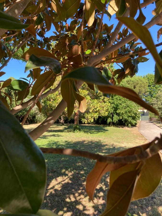 Le Garden Cocoon *